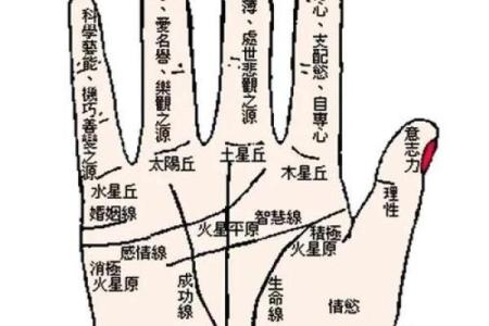 图解：手相小人纹如何算命