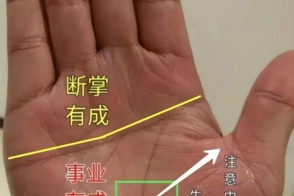 算命手相,免费看手相算命