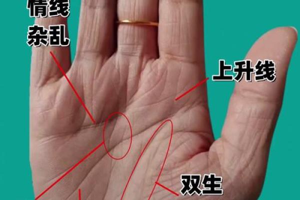 算命手相,免费看手相算命