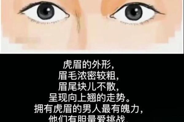 面相眉毛淡的男人 男生面相算命