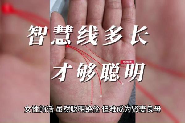 如何看掌纹线算命女性 智慧线长度适中进取心强