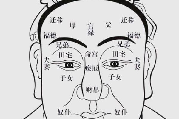 男人断掌手纹算命图解
