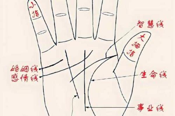 男人断掌手纹算命图解