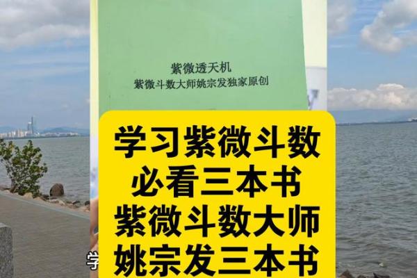 紫薇斗数书推荐