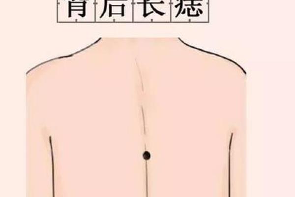 背上的痣图解算命