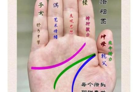 算命的说手相句子