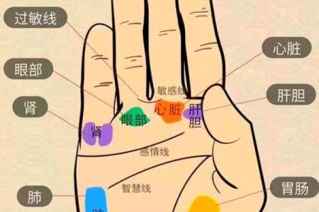 如何看掌纹线算命女性 智慧线长度适中进取心强