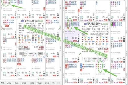 紫薇斗数主要看哪里