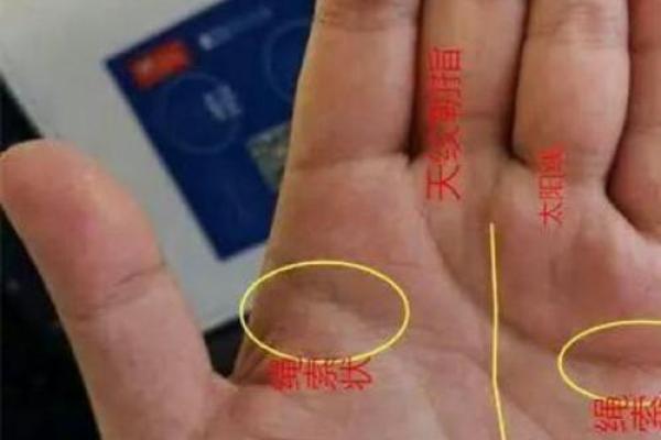 在线扫一扫测手相算命,扫一扫测手相算命免费 在线扫一扫测手相算命,扫一扫测手相算命免费