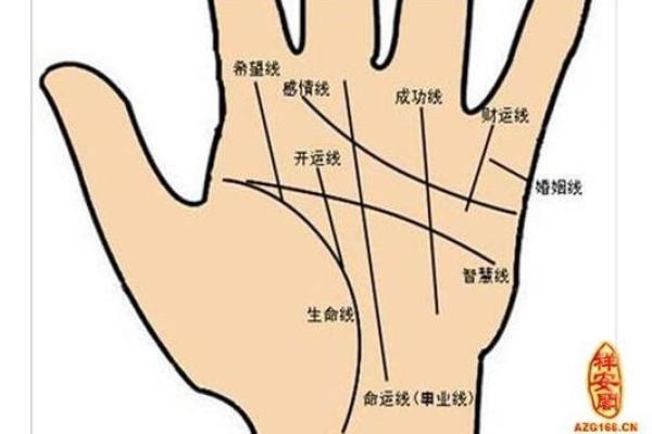 在线扫一扫测手相算命,扫一扫测手相算命免费 在线扫一扫测手相算命,扫一扫测手相算命免费