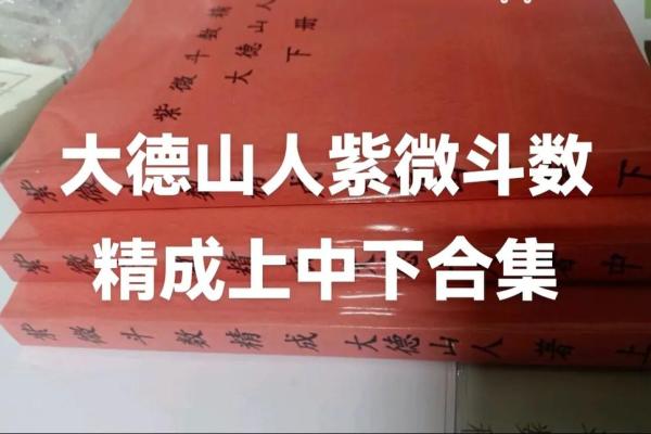 紫薇斗数视频合集