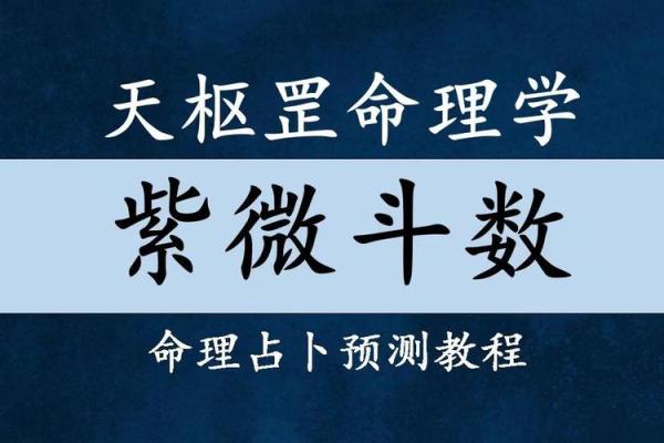 紫薇斗数视频合集