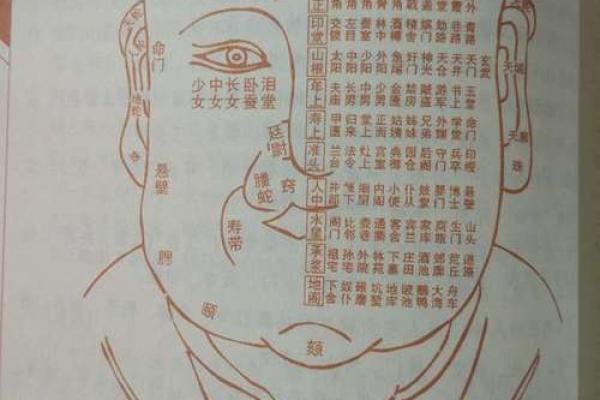 相面八字眉的面相解析与注重方法详解