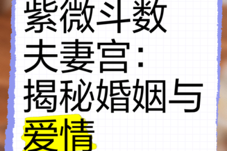 紫薇斗数看婚姻怎么样
