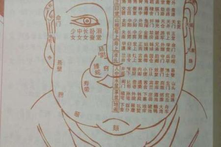 相面八字眉的面相解析与注重方法详解