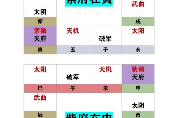 紫薇斗数紫薇七杀在亥