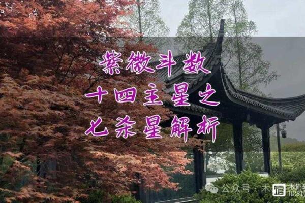 紫薇斗数紫薇七杀在亥