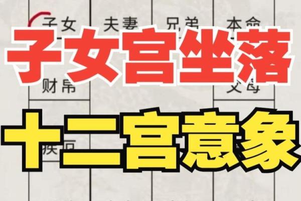 紫薇斗数中什么是子女宫 紫薇斗数中什么是子女宫