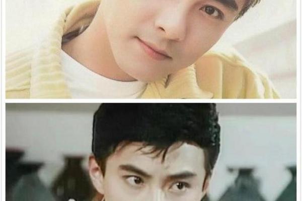 张卫健八字解析:看子女运势如何? 张卫健八字解析:看子女运势如何?