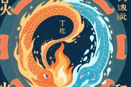 八字-丁火体象
