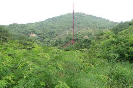 金口诀排好盘后怎么看