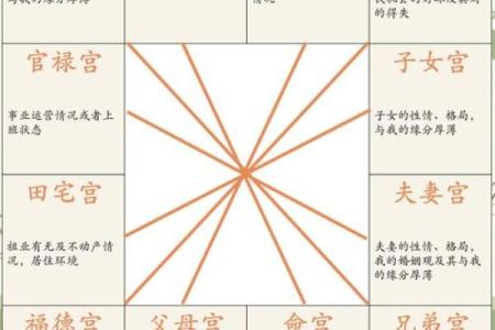 紫薇斗数中凤阁什么意思