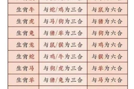 八字大家属于哪个生肖