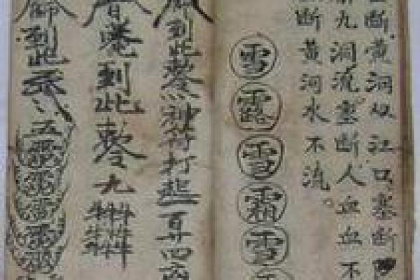 紫微斗数之预测灾厄：动物伤害