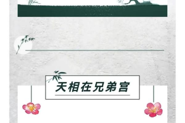 紫薇斗数视频进阶 紫薇斗数视频进阶