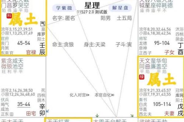 孔子紫薇斗数 孔子紫薇斗数