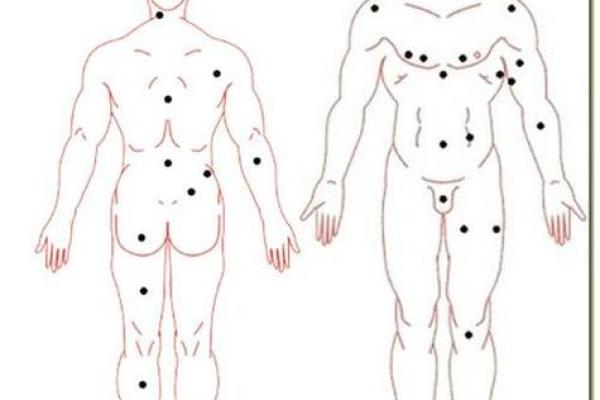 肩膀宽算命 肩膀宽算命