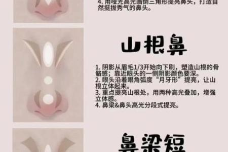 风水面相女人鼻头大到底好不好