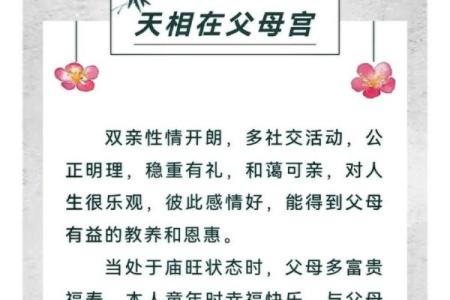 紫薇斗数视频进阶