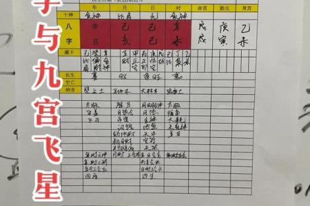 八字排盘免费算命程序