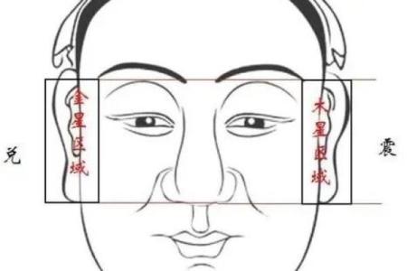 紫微斗数夫妻宫太阴星脸型