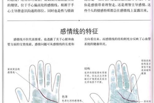 算命是用左手还是右手好 算命是用左手还是右手好