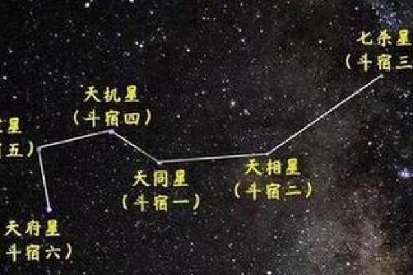 紫薇斗数天府男 紫薇斗数天府男