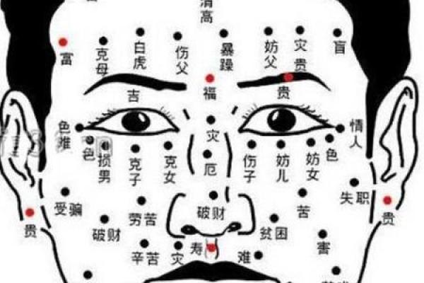 在线拍脸算命 在线拍脸算命