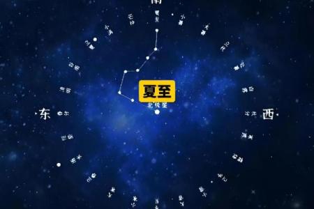 紫薇斗数寿命的星星