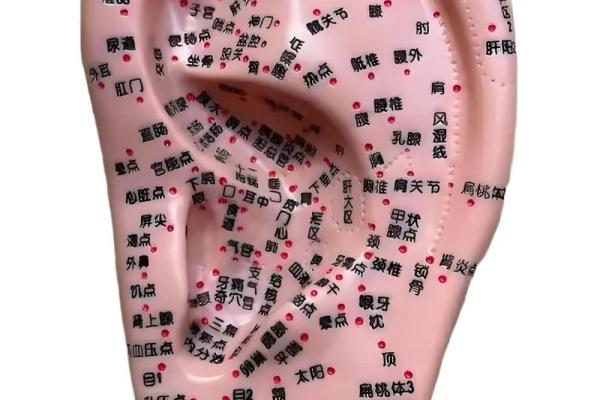 耳疼测试吉凶 耳疼测试吉凶