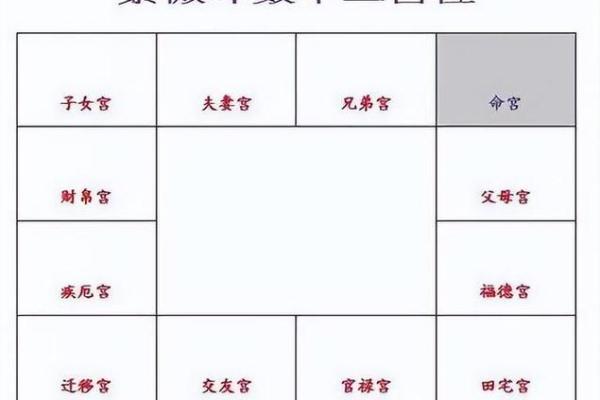 紫薇星入兄弟宫旺科