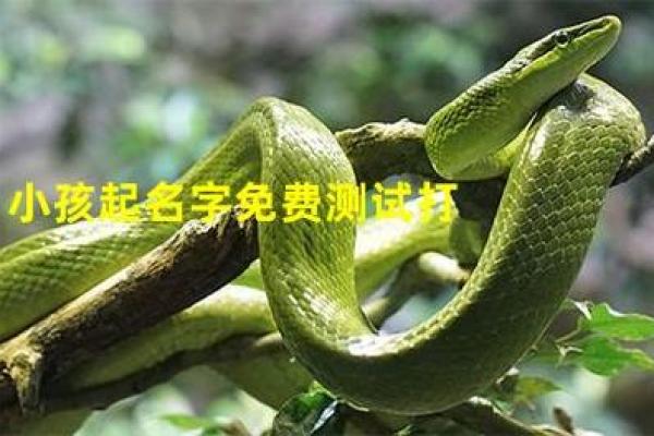 起名字测试评分基本原理_字型起名 起名字测试评分基本原理_字型起名