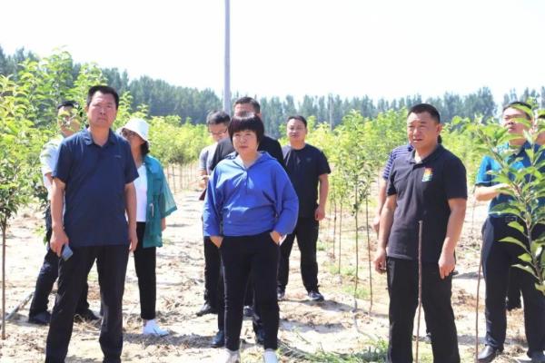 邱县算命 邱县算命