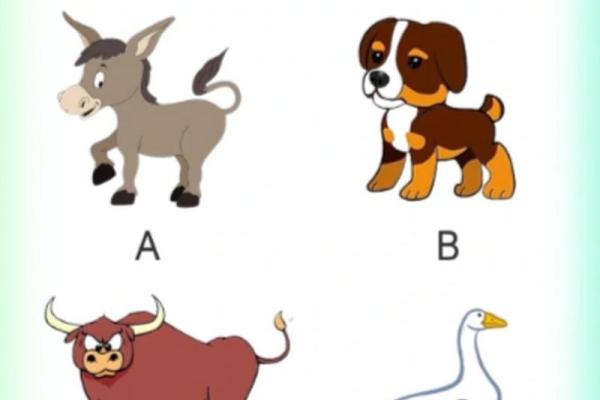 根据名字测试你是什么动物  本命动物测试