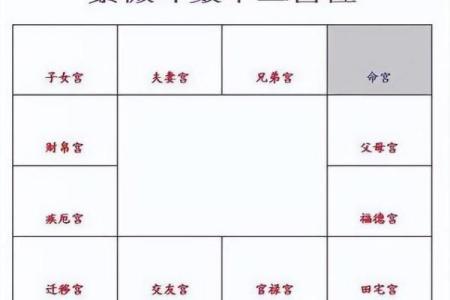 紫薇星入兄弟宫旺科