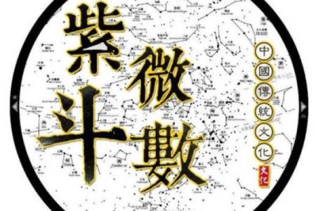 紫薇斗数紫薇命数准吗