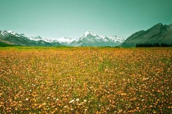 梦见算命不能开车 梦见算命不能开车