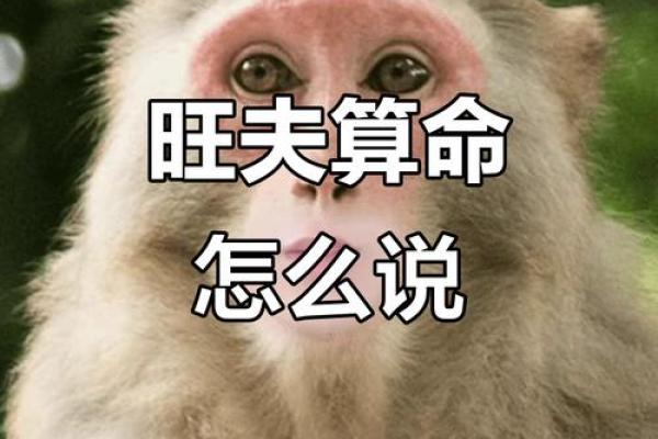 算命的给别人算命很搞笑怎么说