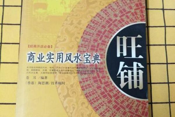 商业风水案例之商业风水中特神 商业风水案例之商业风水中特神