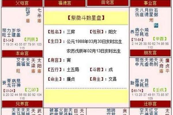 紫微斗数之子女宫与诸星，紫微星在子女宫是什么意思？